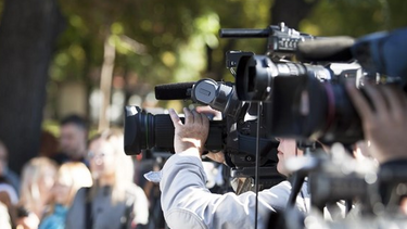 Δημοσιογράφοι Χωρίς Σύνορα: 100 φωτογραφίες δέντρων για την ελευθερία του Τύπου