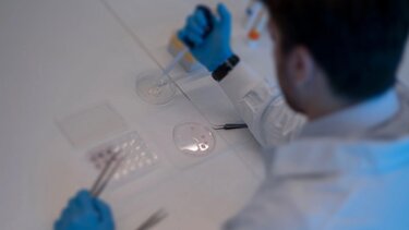 Eυλογιά των πιθήκων: Το Ηνωμένο Βασίλειο θα προσφέρει εμβόλια σε ομοφυλόφιλους