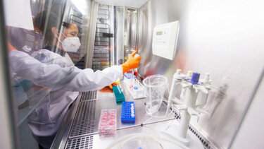 Ευλογιά της Αλάσκα: Σε ετοιμότητα μετά τον πρώτο θάνατο - Τα συμπτώματα