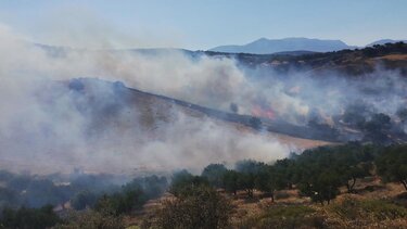 Στο "πόδι" για μεγάλη φωτιά η Πυροσβεστική - Δείτε βίντεο και φωτογραφίες