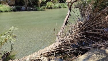 Κραυγή αγωνίας για την Πρέβελη, από τους τουριστικούς πράκτορες 