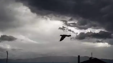 Έκτακτο δελτίο επιδείνωσης καιρού: Πρόβλεψη για καταιγίδες, κεραυνούς και χαλάζι