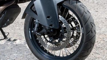 Σκύλος προκάλεσε τροχαίο, νεκρός ο οδηγός - Συνελήφθη ο ιδιοκτήτης του τετράποδου