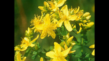 Yπό αμφισβήτηση τα συμπληρώματα διατροφής