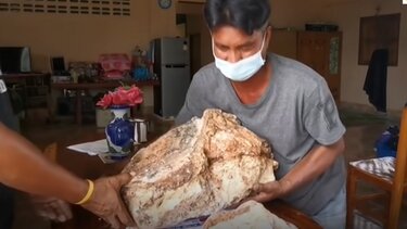 Η "μπάλα λίπους" που βρήκε αποδείχθηκε.. κεχριμπάρι!