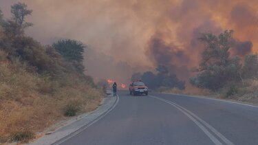 Ούτε ... να το ήξεραν!