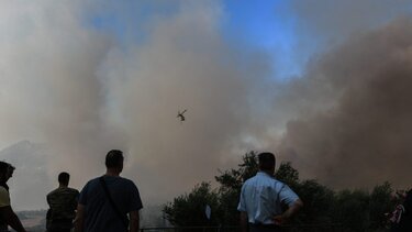 Άμφισσα: Οι φλόγες απειλούν την βόρεια πλευρά της Ιτέας 