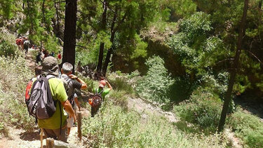 Επιχείρηση διάσωσης τουριστών σε φαράγγι