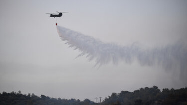 Οριοθετήθηκε η φωτιά στο Δίστομο Βοιωτίας
