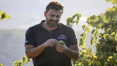 Από το Cabernet Sauvignon στον Ταχτά - Επιστροφή στα …..ριζίτικα!