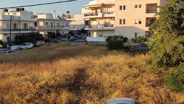 Ένα ... δάσος μες στην πόλη