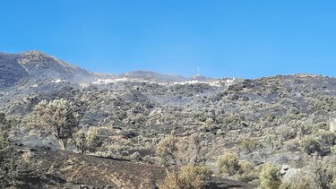 Ρέθυμνο: Με τον φόβο των αναζωπυρώσεων, η επόμενη μέρα της καταστροφής