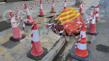 Το φονικό δέντρο είχε… μυστικά, αλλά τα «φώναξε» μετά την πτώση του!