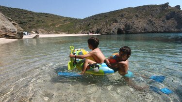 North Evia-Samos Pass: Ανοίγει το μεσημέρι η πλατφόρμα για τις αιτήσεις