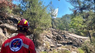 Υπό πλήρη έλεγχο η φωτιά στη Θάσο