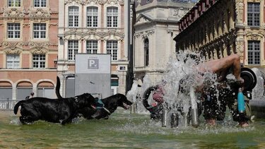 Ευρώπη: Νέο κύμα καύσωνα με θερμοκρασίες άνω των 30 βαθμών κελσίου