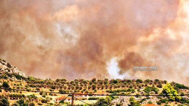 Φωτιά στην Αργολίδα: Κοντά στα σπίτια οι φλόγες - Εκκενώθηκε ξενοδοχείο