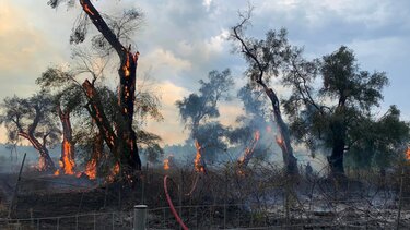 Πυρκαγιά στην Φυλιαδώνα Φθιώτιδας