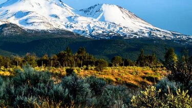 Θρίλερ με πάρκο που «καταπίνει» ανθρώπους – 11 εξαφανίσεις σε 10 χρόνια
