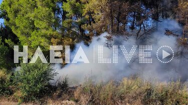 Φωτιά στα Βαρβάσαινα Ηλείας