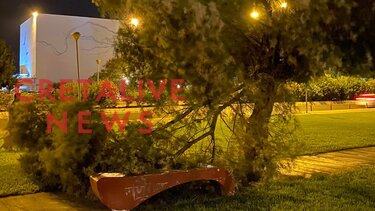 Τη γλύτωσαν παρά τρίχα!