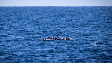 Μπαγκλαντές: Τουλάχιστον 23 νεκροί και δεκάδες αγνοούμενοι από τη βύθιση φεριμπότ