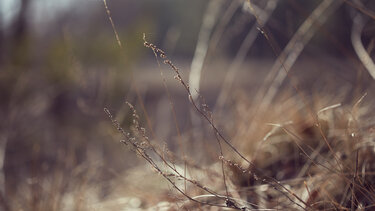 Δήμος Φαιστού: Τι ισχύει με τον καθαρισμό οικοπέδων και ακάλυπτων χώρων, εν όψει αντιπυρικής περιόδου