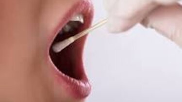 Τι ισχύει για τη δωρεά μυελού των οστών - Η περίπτωση 11χρονης και γιατί ζητήθηκε πληρωμή