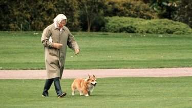 Βασίλισσα Ελισάβετ: Σε ποιον αφήνει τα Κόργκι σκυλάκια της
