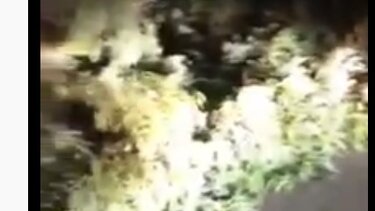 Έπεσε δέντρο στη μέση του δρόμου! Στο τσακ γλίτωσαν οδηγοί!