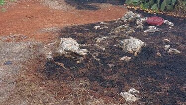 Έβαλε φωτιά και παραλίγο η κατάσταση να ξεφύγει