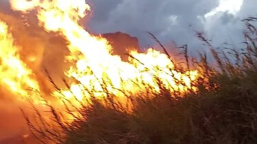 5 στρέμματα έκαψε η φωτιά στον Δήμο Αρχανών Αστερουσίων