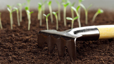 Κινδυνεύουν οι μισές καλλιεργήσιμες εκτάσεις, αν η θερμοκρασία αυξηθεί κατά 2°C