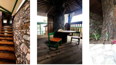 Νηπιαγωγείο Μοχού: Ένα όνειρο έγινε πραγματικότητα!