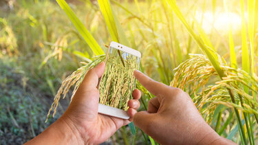 ΟΠΕΚΕΠΕ: Πώς θα εφαρμοστεί η γεωσήμανση αγροτεμαχίων