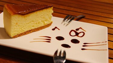 Cheesecake με κολοκύθα