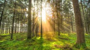 Αίθριος καιρός την Παρασκευή στην Κρήτη