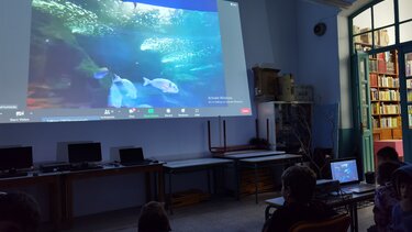 «Βουτιά» στο Ενυδρείο Κρήτης πραγματοποίησαν μαθητές από 11 απομακρυσμένα νησιά του Αιγαίου!