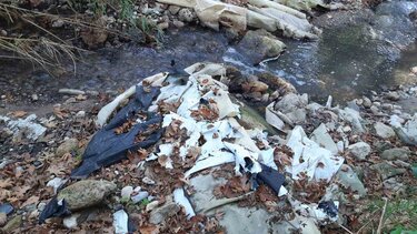 Ένα περιβαλλοντικό έγκλημα για να μην πληρώσει... 200 ευρώ!