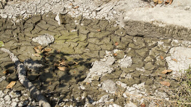 ΟΗΕ: Το νερό, κρίσιμος δείκτης της κλιματικής αλλαγής 