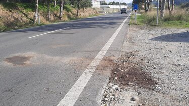 Αυτοκίνητο συγκρούστηκε... με άλογο!