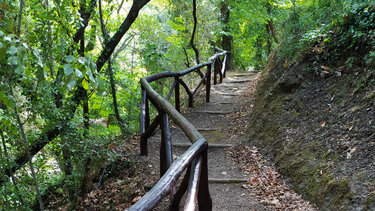 Ολοκληρώθηκε η επιχείρηση για την ανάσυρση του νεκρού άνδρα από το φαράγγι