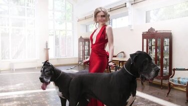 Έπιασαν την απατεώνισσα με το μαύρο σκυλάκι - Ζούσε στη χλιδή και δεν πλήρωνε