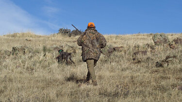 Το Χριστουγεννιάτικο κυνήγι εξελίχθηκε σε περιπέτεια