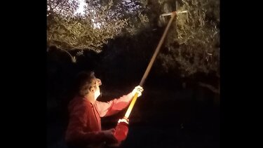 Η βεντέμα του λαδιού, η πατέντα και τα ραβδιστικά νυχτός!