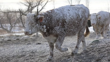 Η Β. Αμερική παγώνει και στην Ευρώπη σπάνε τα ρεκόρ υψηλής θερμοκρασίας