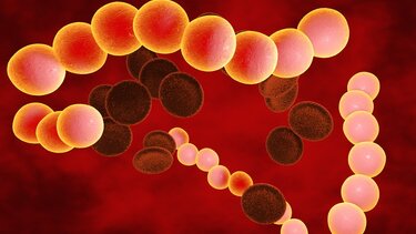 Παγώνη για στρεπτόκοκκο: Σημαντική η άμεση διάγνωση για να μην υπάρχουν επιπλοκές