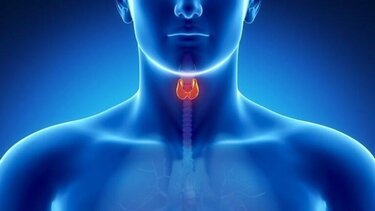 Καρκίνος του θυρεοειδούς: Το παράξενο σύμπτωμα που ασθενής και γιατροί αγνοούσαν για μήνες