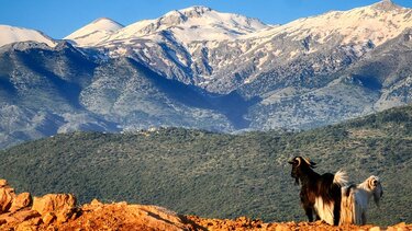Η Κρήτη στους 10 κορυφαίους προορισμούς του 2023 για τουρισμό περιπέτειας και ευεξίας