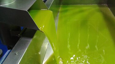 Σε ιστορικό υψηλό η τιμή του ελαιόλαδου λόγω μειωμένης παραγωγής